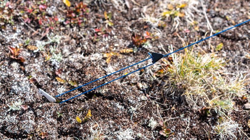 Late season floorless shelters 4