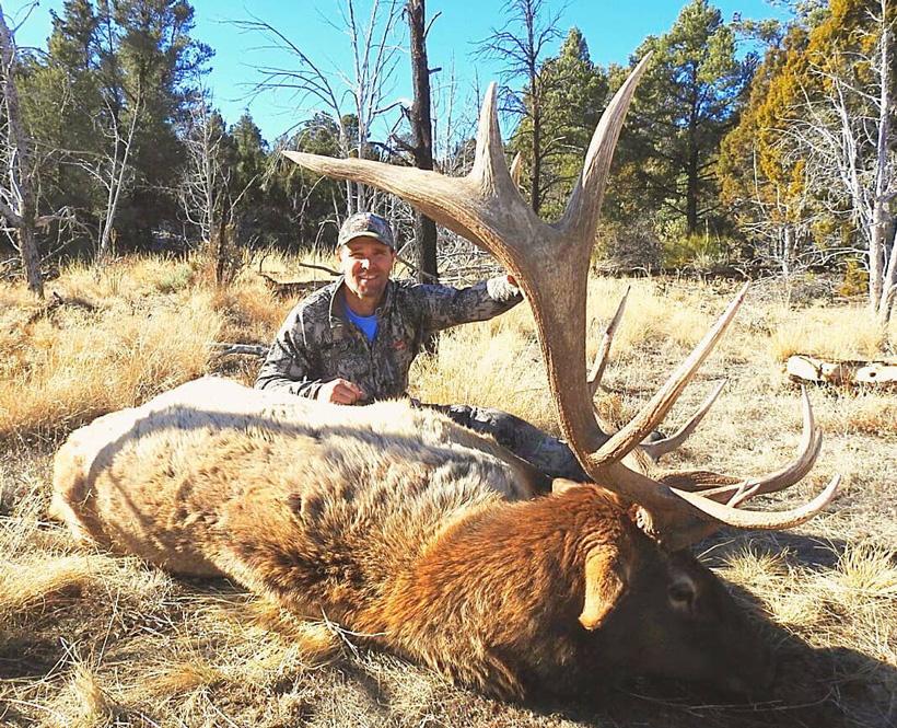 Nevada bull elk taken with pine peak outfitters