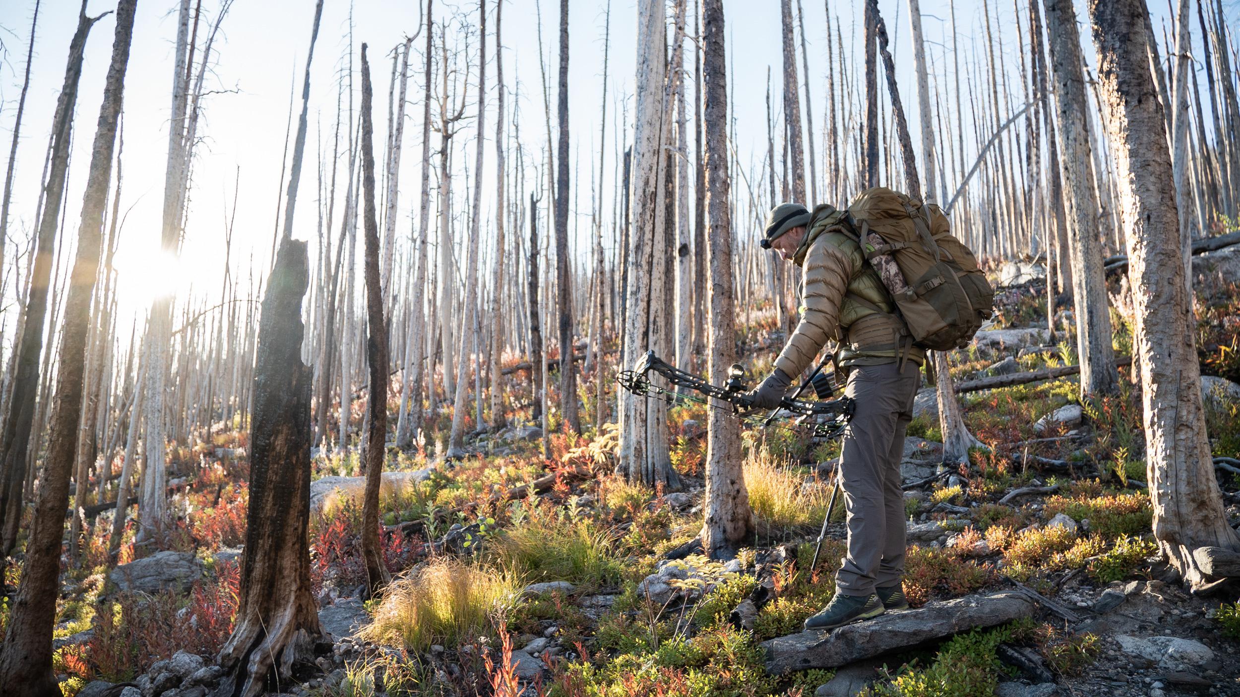 How to find the best elk habitat for your next hunt