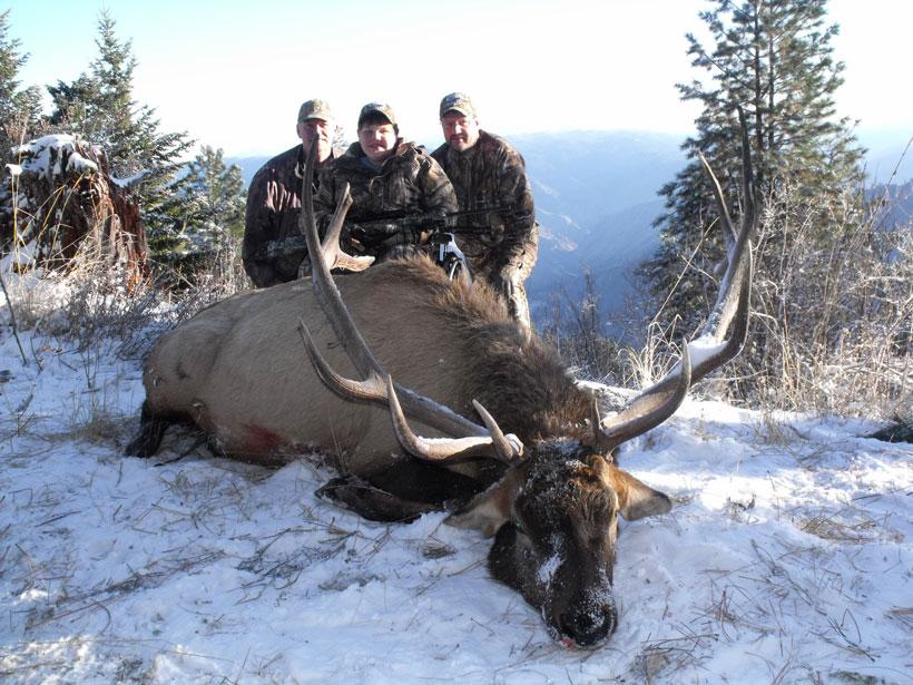 Kobey bonin dream elk