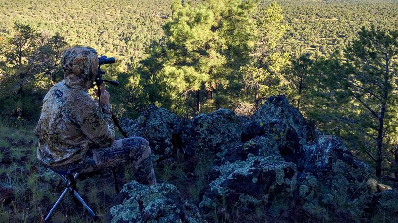 Arizona elk photo_11