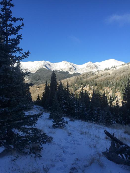 Colorado elk hunting scenery_0