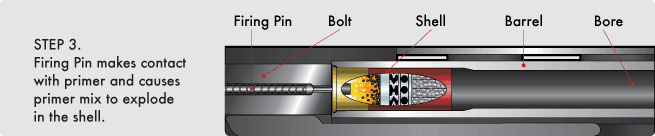 Step3 how shotgun shell fired