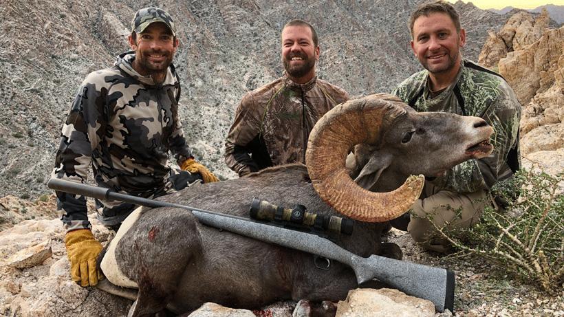 Chip beiner 2018 desert bighorn