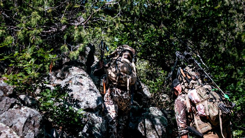 Black bear hunting 2