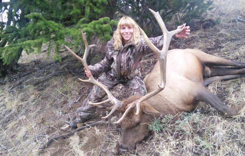 Idaho elk taken with diamond d outfitting