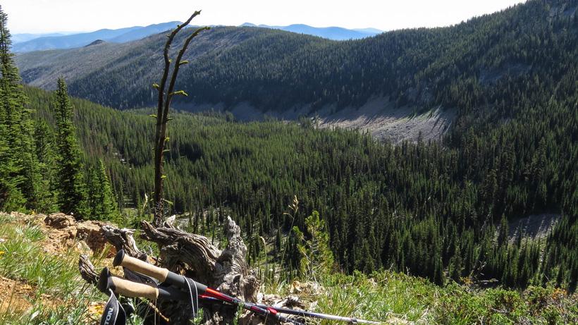 Scouting for elk in the mountains