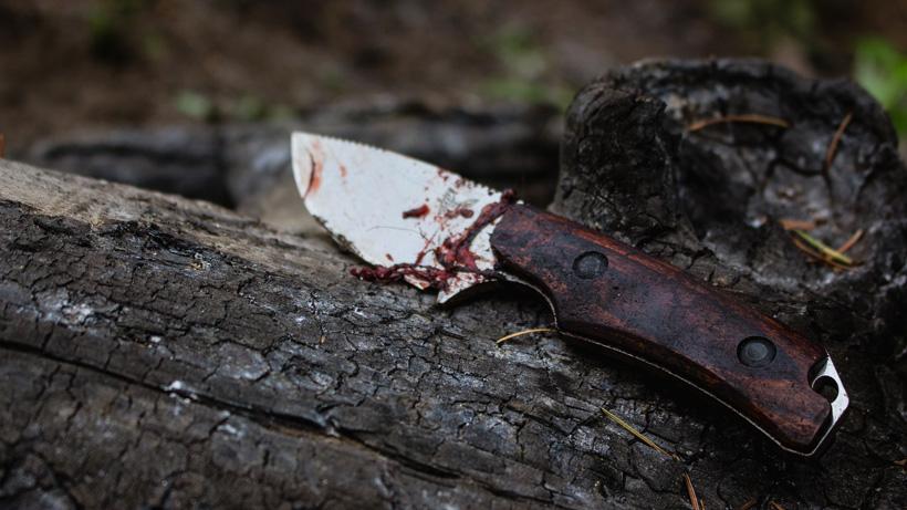 Solid fixed blade knife for hunting