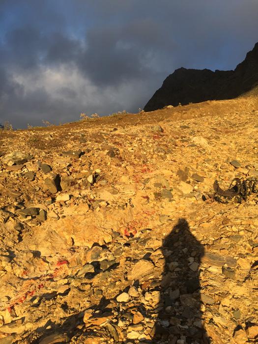 Slowly climbing down the mountain