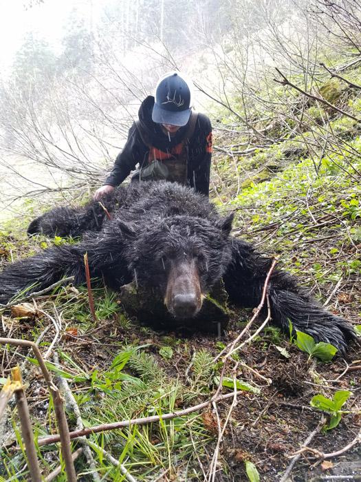 Danner haskins 2017 bear