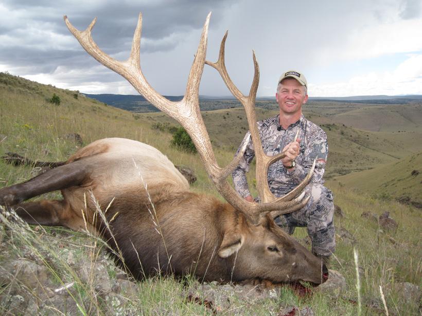 Randy newberg new mexico bull elk