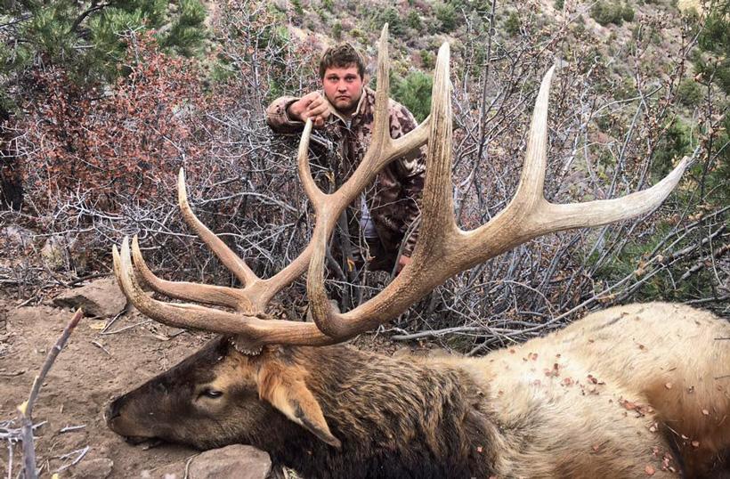 APPLICATION STRATEGY 2017: Nevada Deer, Elk, Antelope - 5d