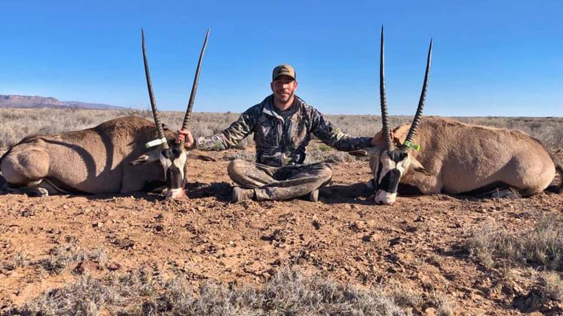 Wilderness productions