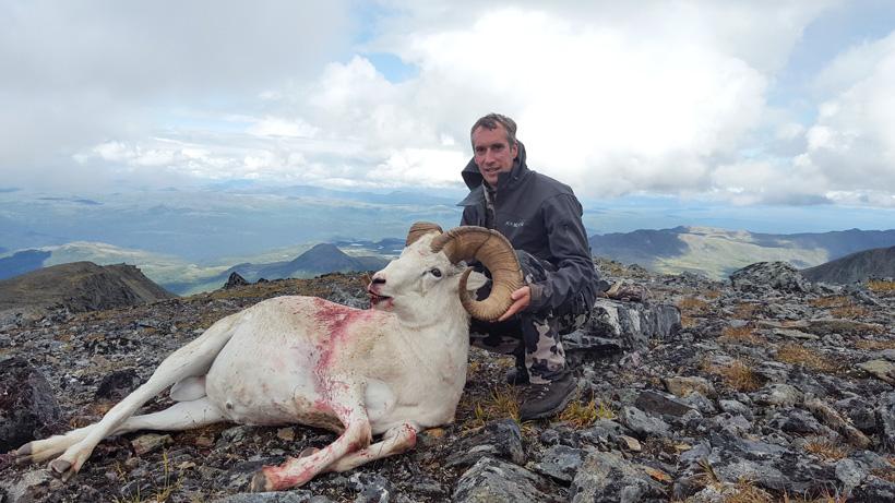 Friend holding up the Dall sheep