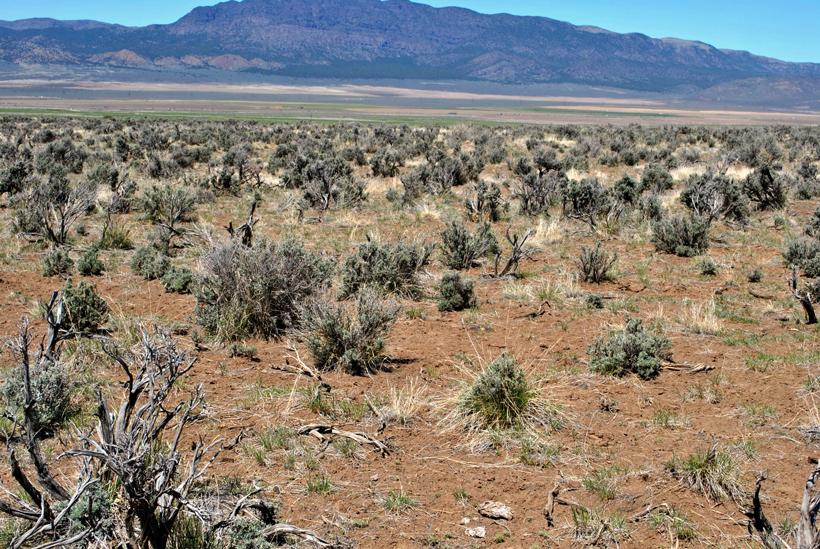 Poor condition of winter range