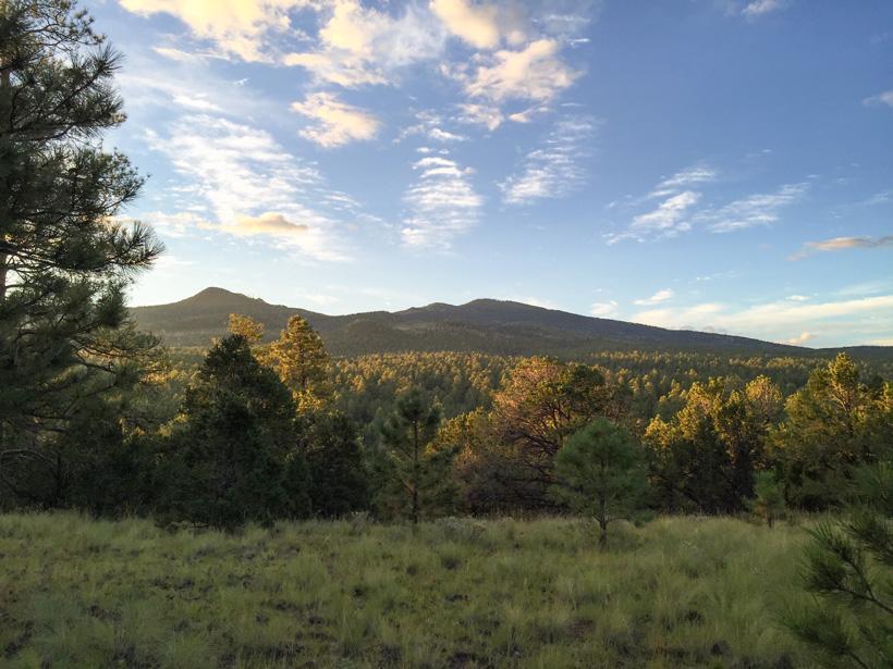 Sunset after a day of bowhunting elk