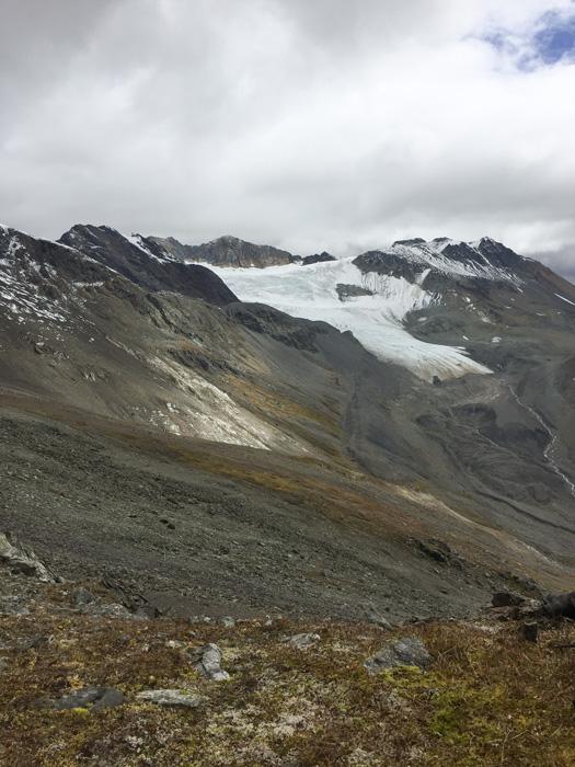 Alpine mountains in British Columbia