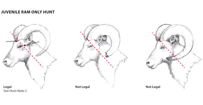 Screen shot 2020 05 07 at 10.47.11 pm