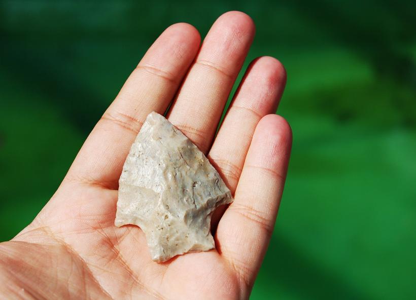 Indian arrowhead_1