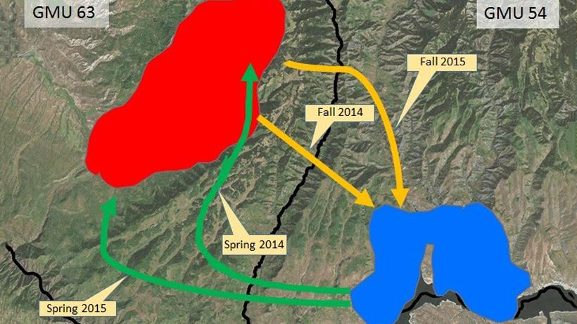 Gunnison Basin mapping project uncovers elk movement patterns - 0