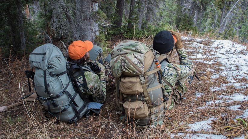 Glassing for bulls in timber