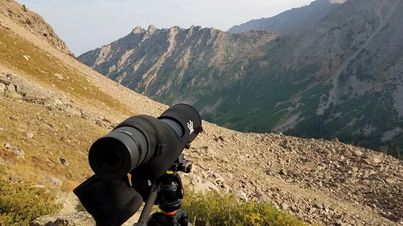 More glassing for bighorn sheep during the summer