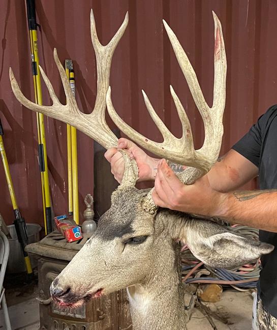 Three men convicted of using drone to poach mule deer - 0