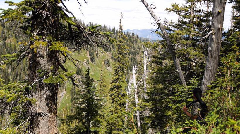 Northwest montana hunting scenery