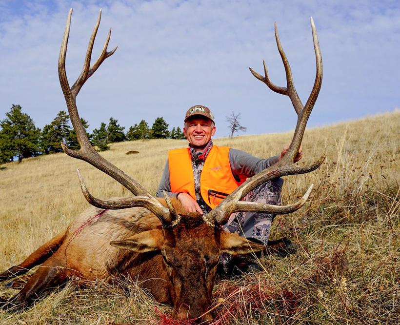 Randy newberg 2015 montana bull elk