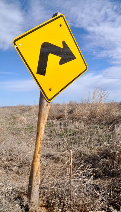 Whitetail buck rubbing on sign