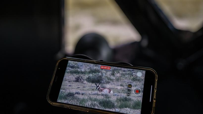 Digiscoping antelope from ground blind