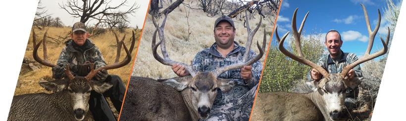 G and j outdoors mule deer photos for nevada guide draw