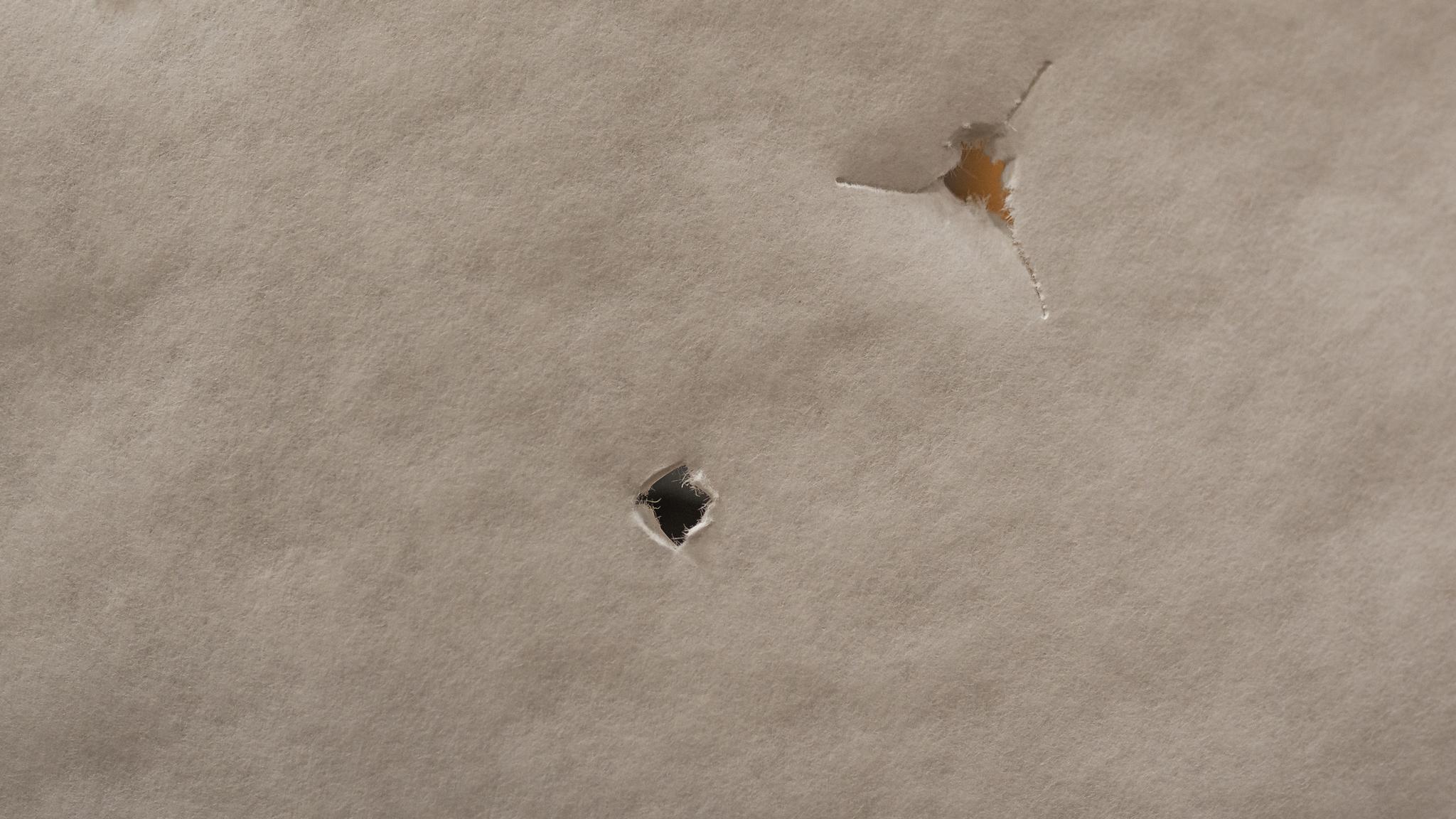 How to tune a compound bow - the definitive guide for perfect arrow ...