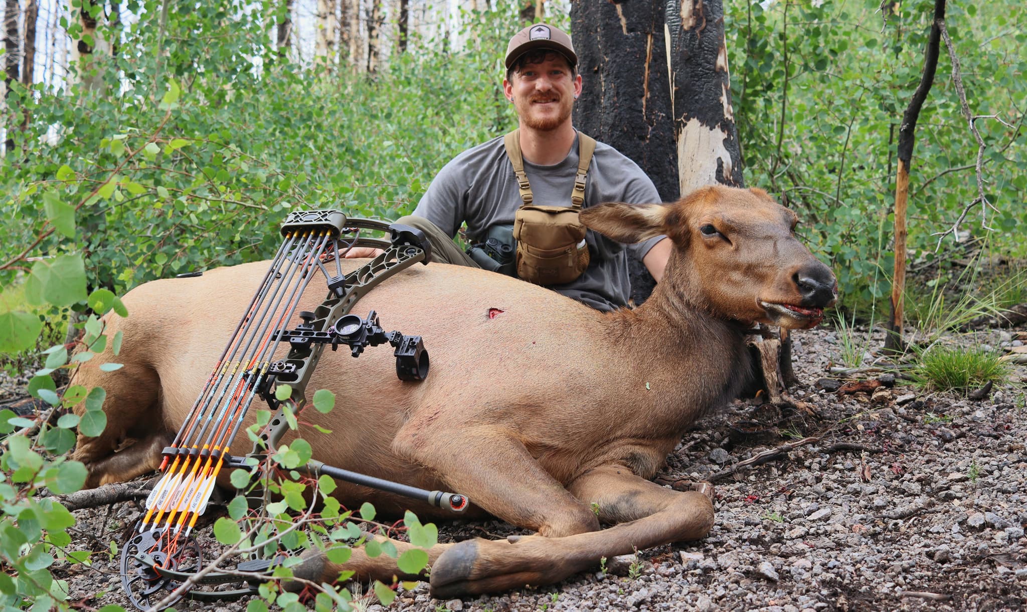 Hunting Map Cow How to easily find your next cow elk or spike elk hunt // GOHUNT. The ...