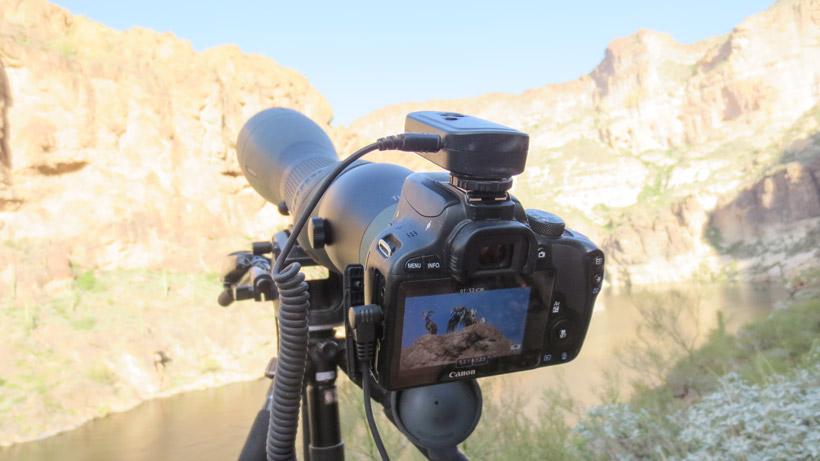 A complete overview of the best digiscoping setups for hunting ...