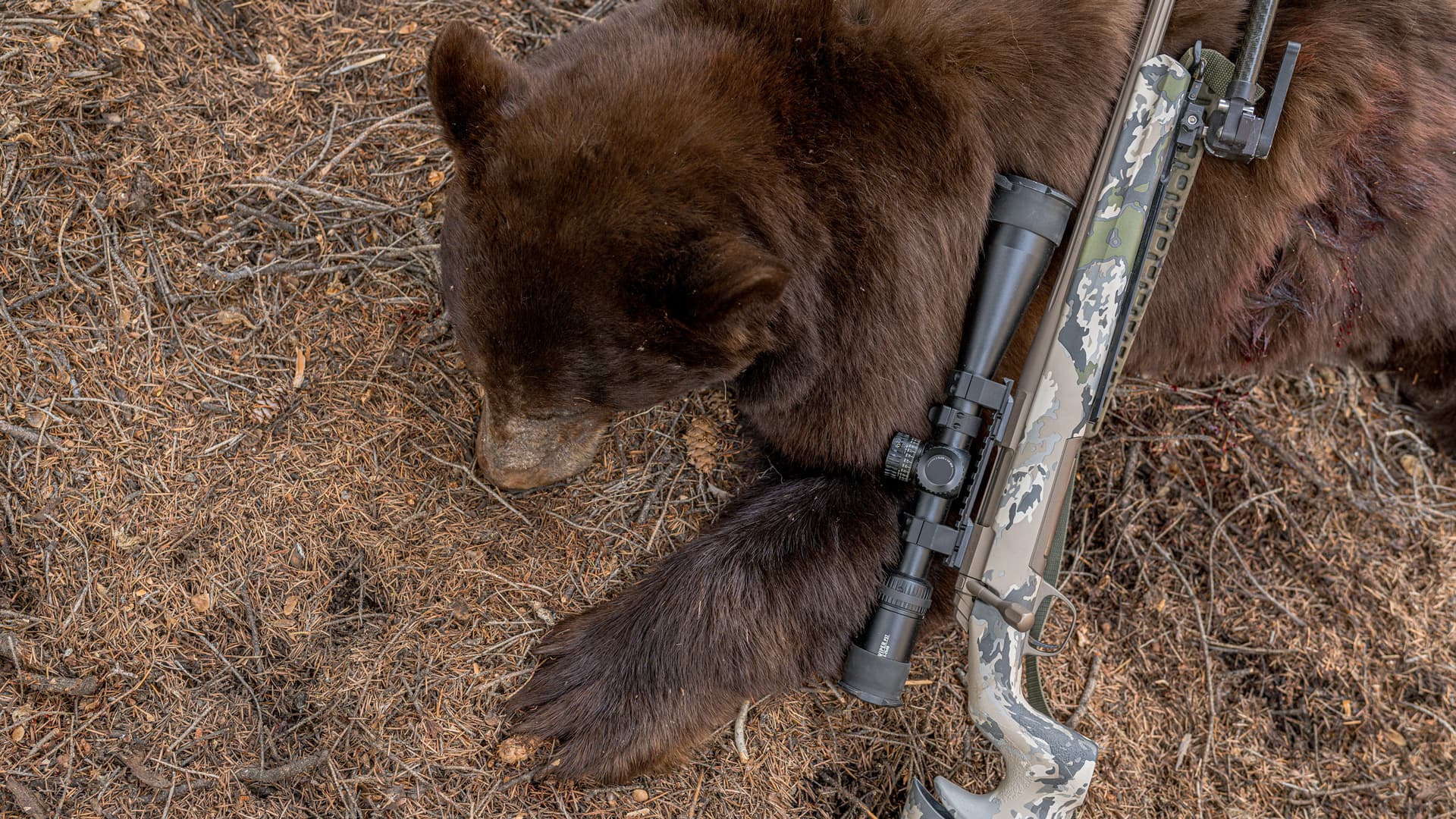 Phil Shoemaker Rifle Best rifles for spring bear hunting — Top 3 setups from Brady Miller ...