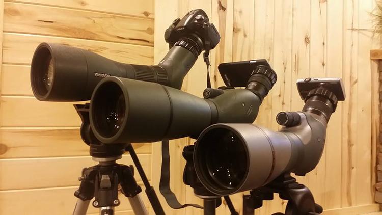A complete overview of the best digiscoping setups for hunting ...