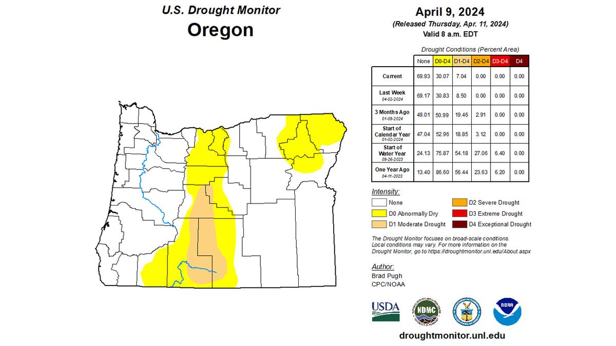 Application Strategy 2026: Oregon deer draw tips, strategies and ...